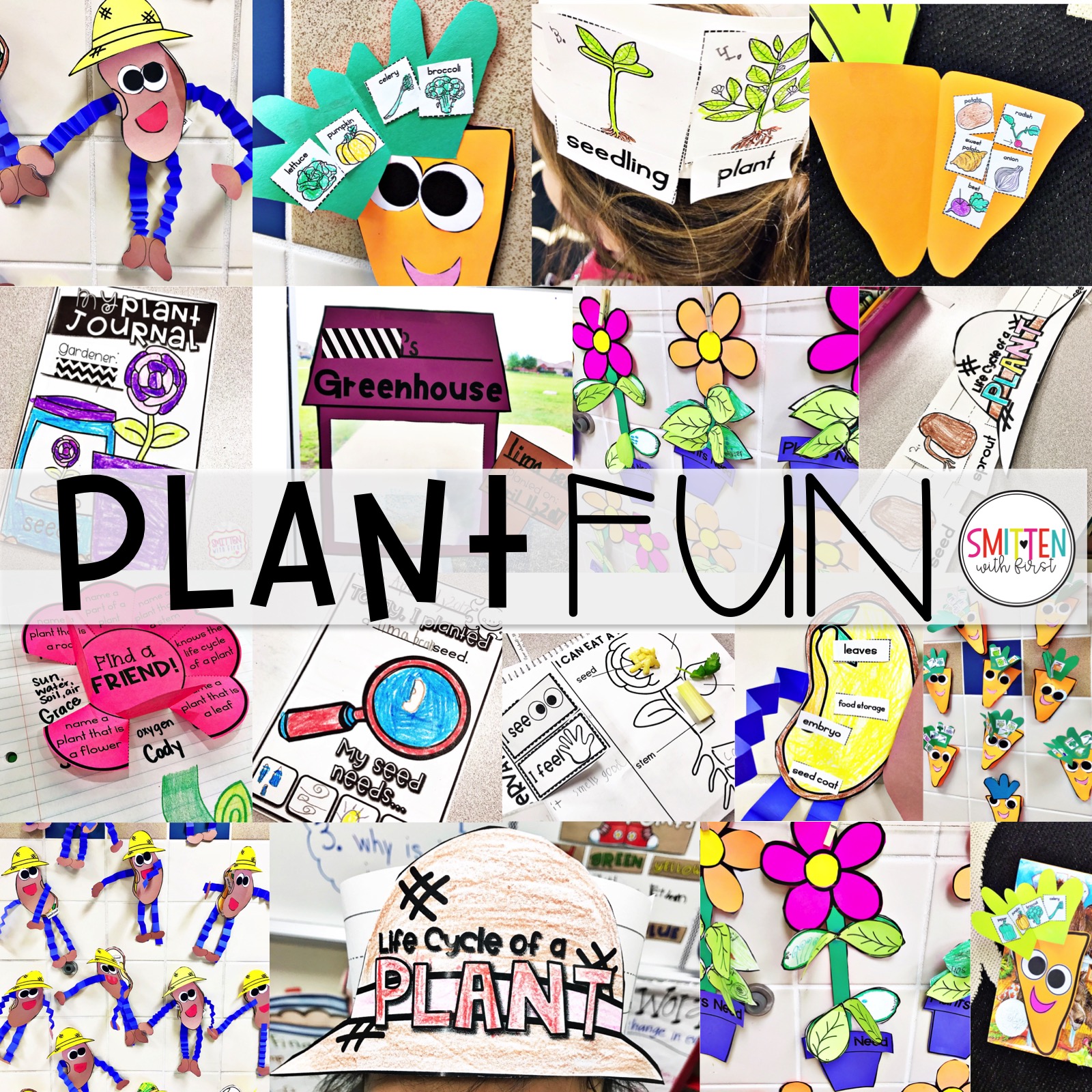 Fun Plants Activities for Plant Life Cycle Parts of Plant