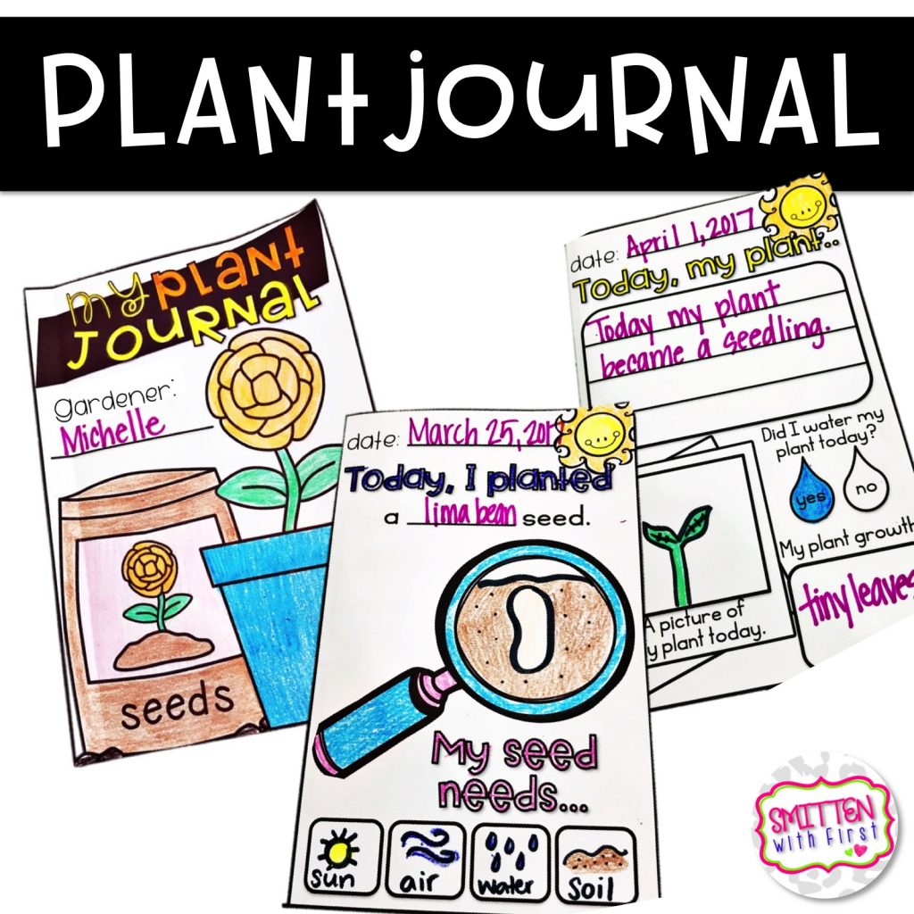 Plant Activities for 1st Grade Plant Life Cycle Plant Parts