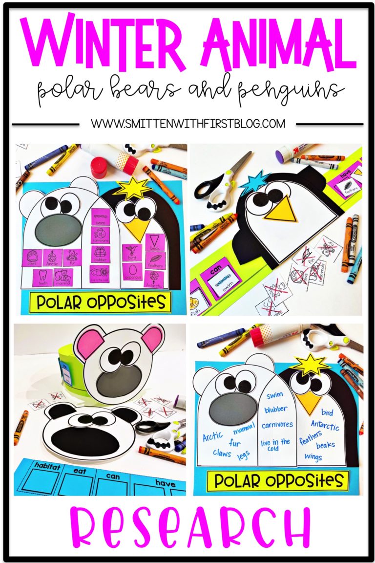 Winter Animals activities