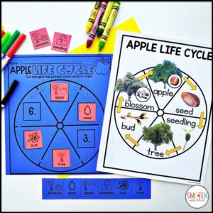 Apple Life Cycle Activities