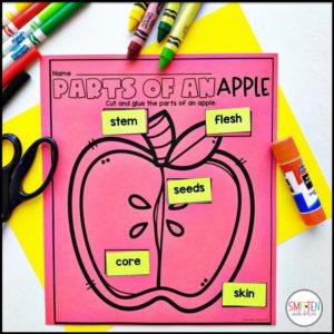 Label and Apple Activities Kindergarten First Grade