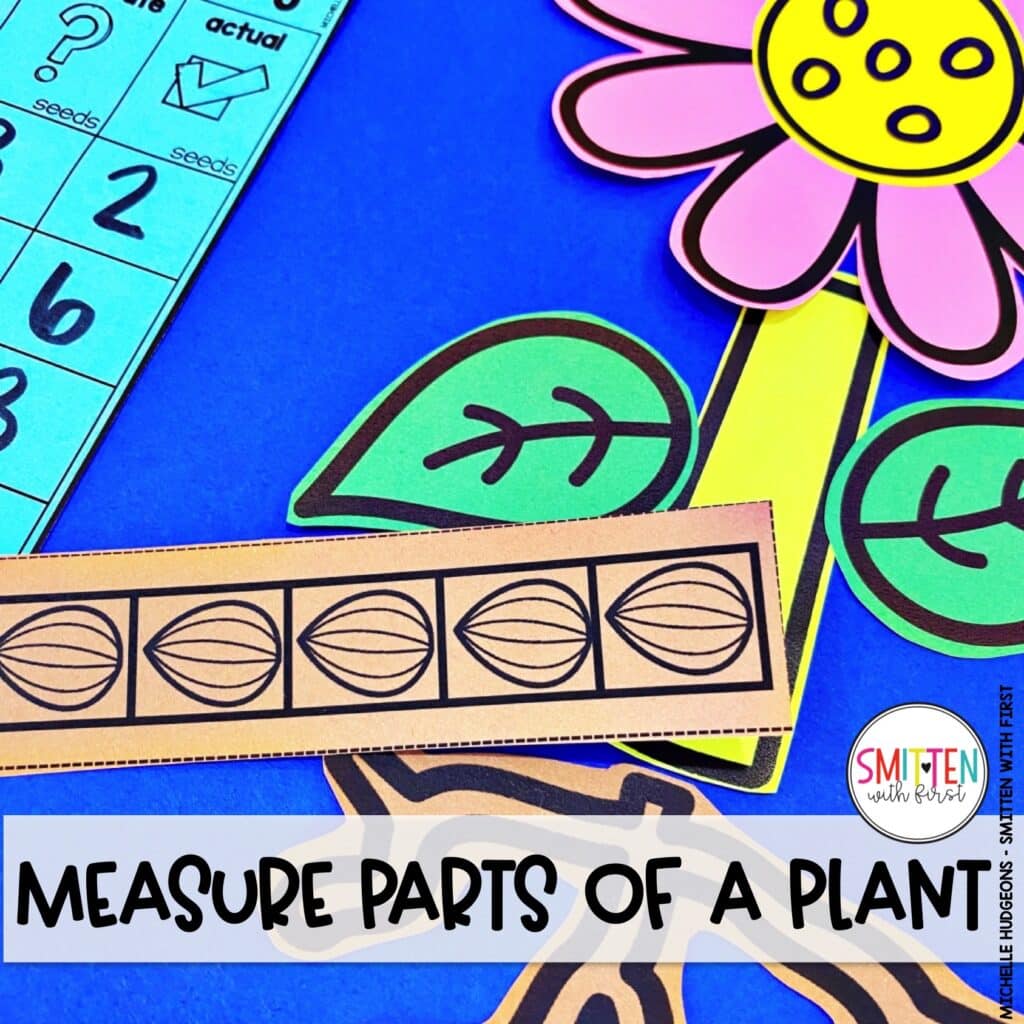 Plant Activities for Kindergarten, 1st Grade, 2nd Grade