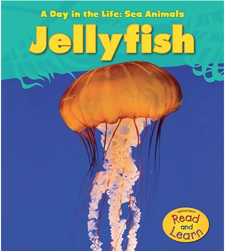 ocean books for kids kindergarten 1st grade 2nd grade
