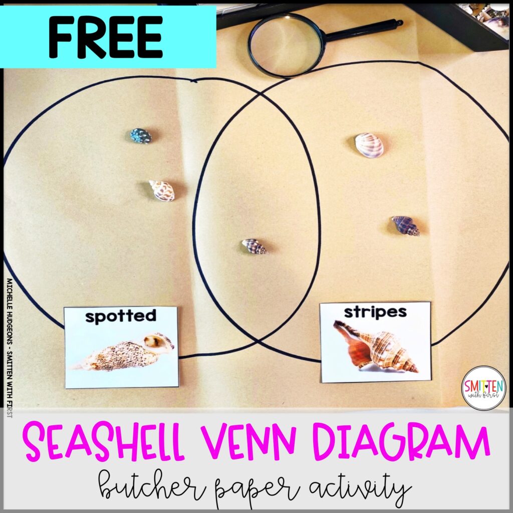 ocean end of year activities seashell venn diagram sort kindergarten 1st grade 2nd grade
