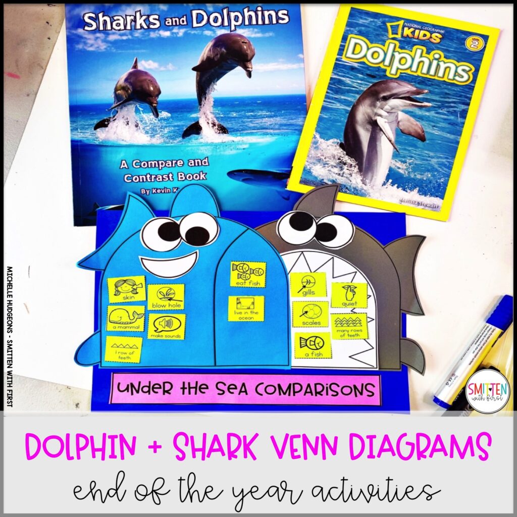 ocean end of year activities dolphin shark compare contrast venn diagram kindergarten 1st grade 2nd grade