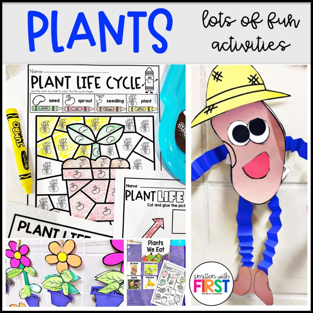 Plants Activities and Centers