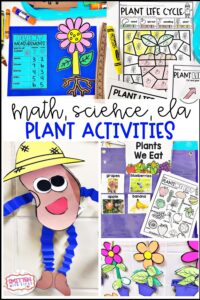 Plants Activities and Centers for First Grade Kindergarten 2nd Grade
