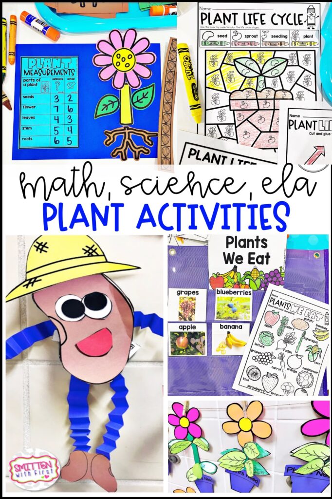 Plants Activities and Centers for First Grade Kindergarten 2nd Grade