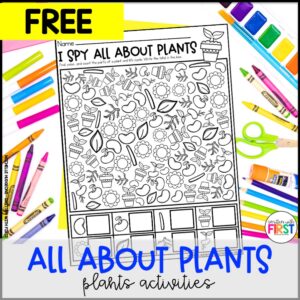 Free Plants Activities and Centers Worksheets for First Grade Kindergarten 2nd Grade