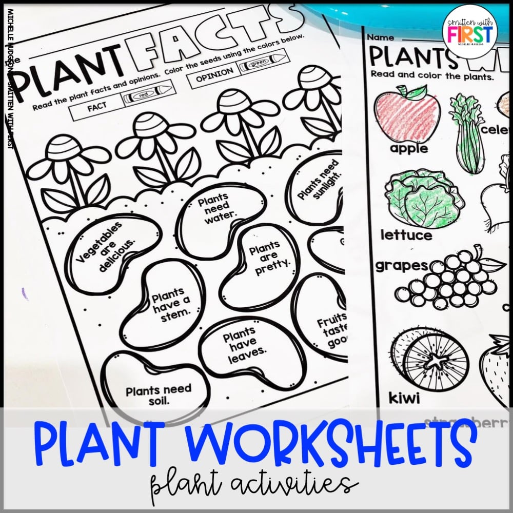 Plants Activities and Centers Worksheets for First Grade Kindergarten 2nd Grade