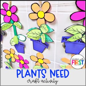 Plants Activities and Centers for First Grade Kindergarten 2nd Grade