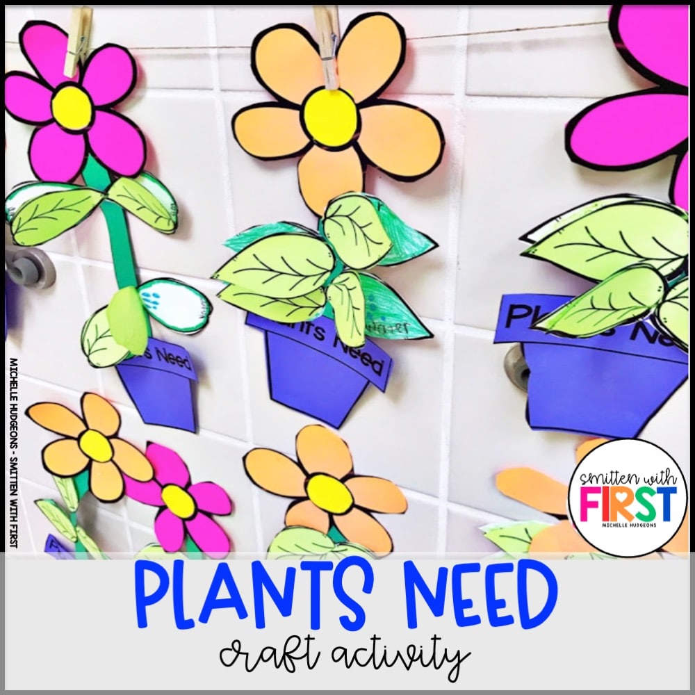 Plants Activities and Centers for First Grade Kindergarten 2nd Grade
