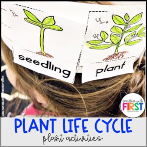 Plants Life Cycle Activities and Centers for First Grade Kindergarten 2nd Grade