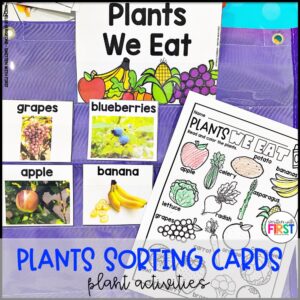 Plants Activities and Centers for First Grade Kindergarten 2nd Grade
