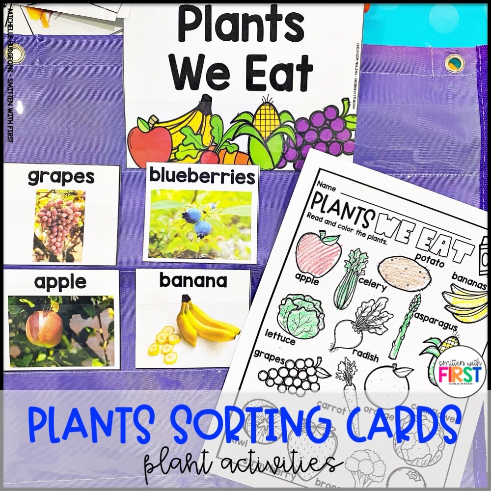Plants Activities and Centers for First Grade Kindergarten 2nd Grade