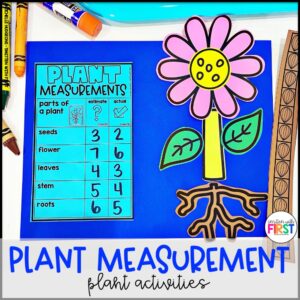 Parts of a Plants Measurement Activities and Centers for First Grade Kindergarten 2nd Grade Worksheets