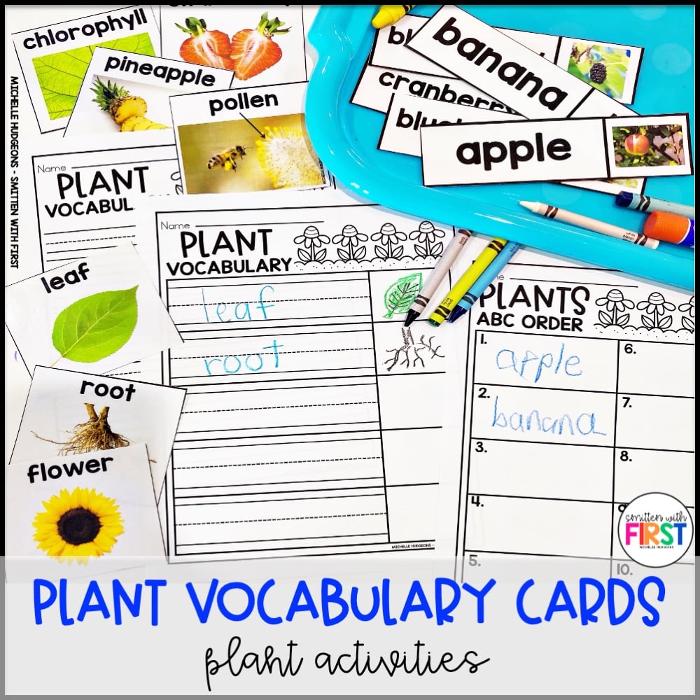 Plants Activities and Centers for First Grade Kindergarten 2nd Grade