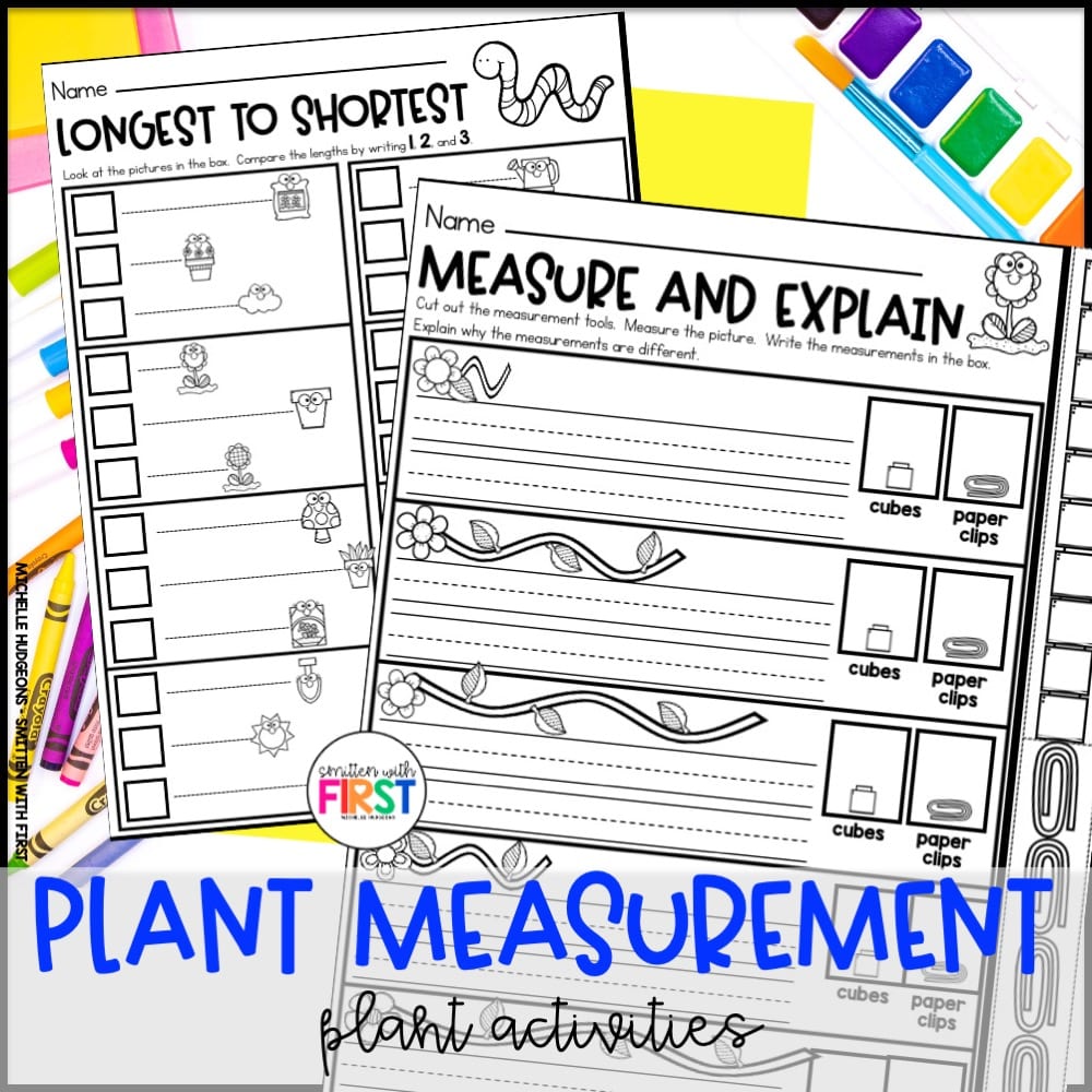 Plants Worksheets Activities and Centers for First Grade Kindergarten 2nd Grade Worksheets