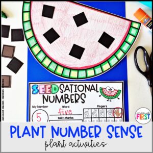 Plants Math Activities and Centers for First Grade Kindergarten 2nd Grade