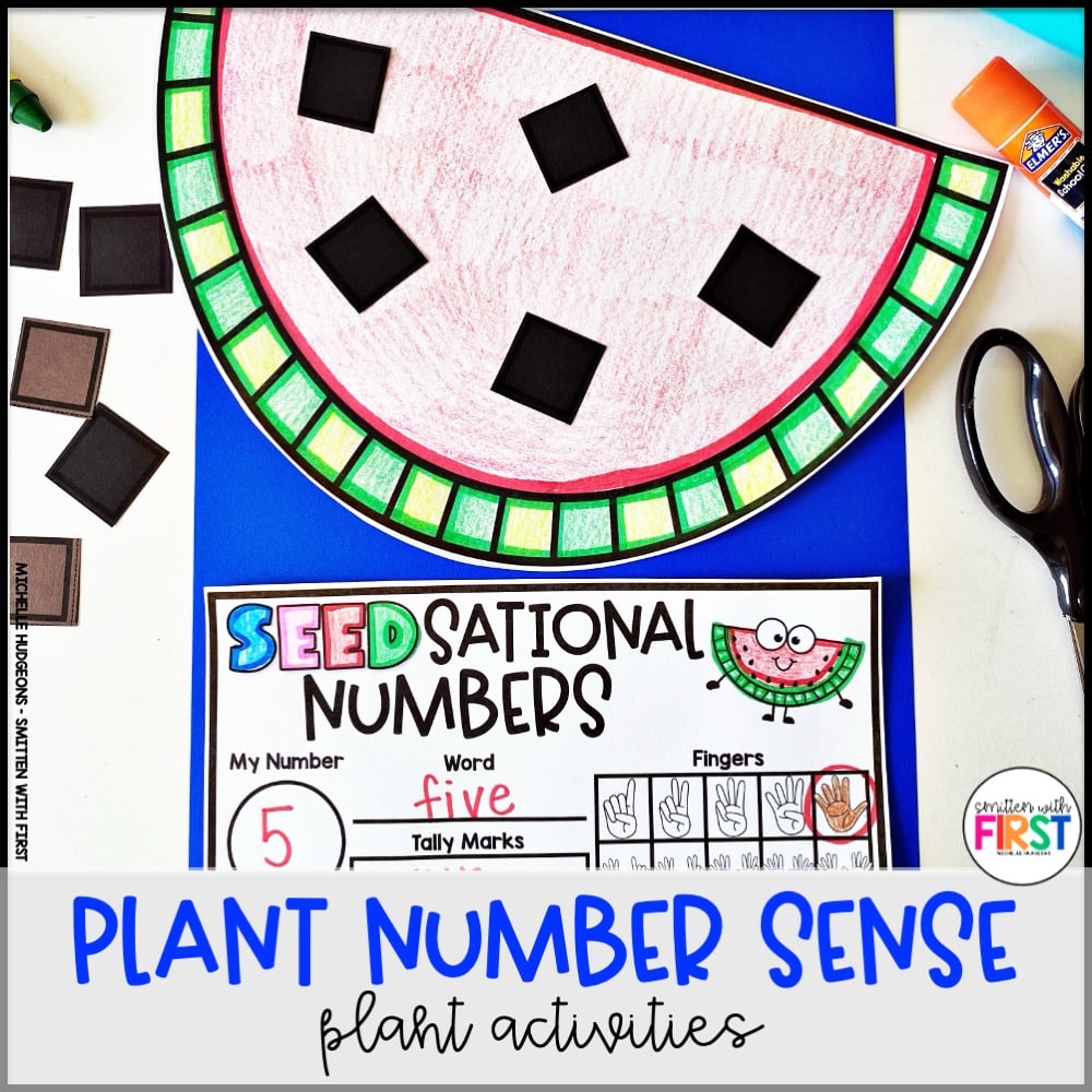 Plants Math Activities and Centers for First Grade Kindergarten 2nd Grade