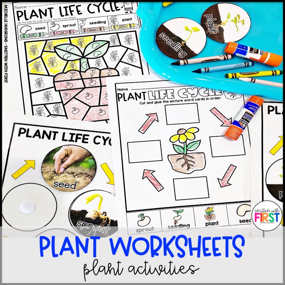 Plants Activities and Centers for First Grade Kindergarten 2nd Grade