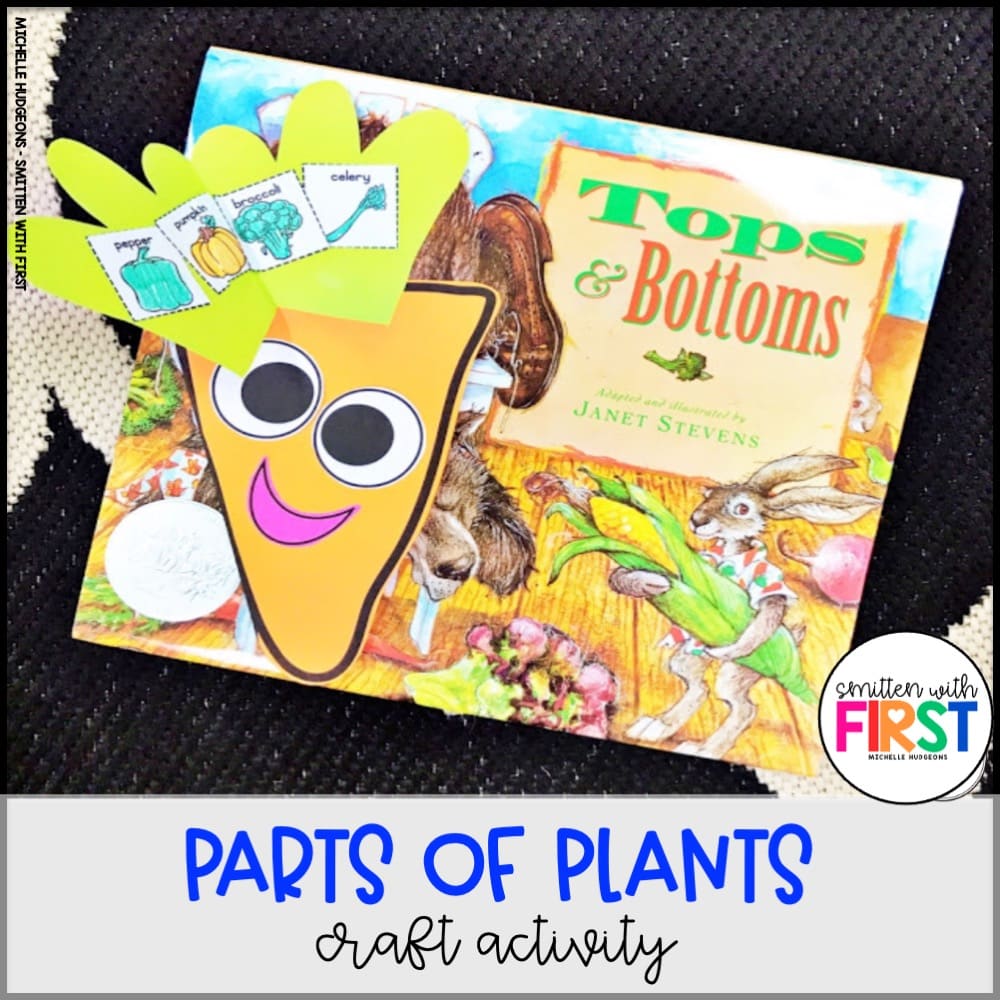 Plants Activities and Centers for First Grade Kindergarten 2nd Grade