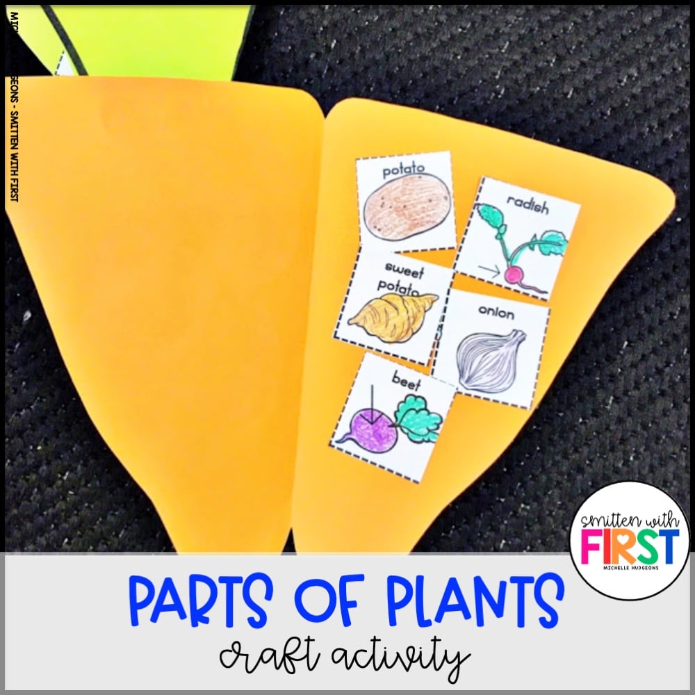 Plants Activities and Centers for First Grade Kindergarten 2nd Grade